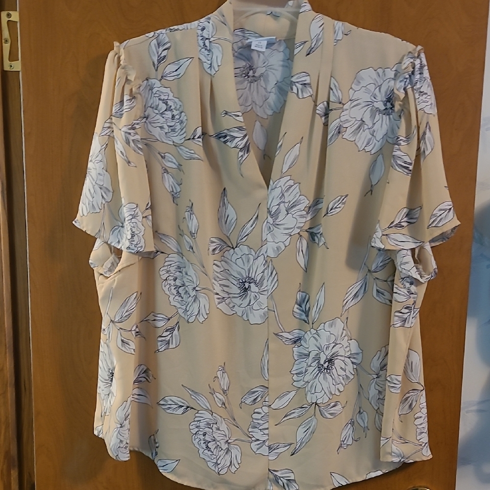 Liz Claiborne Cream Flutter Sleeve Blouse Size 2x